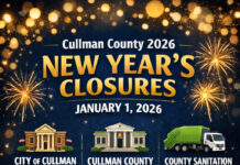 New Year’s Day closures, sanitation delays