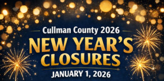 New Year’s Day closures, sanitation delays