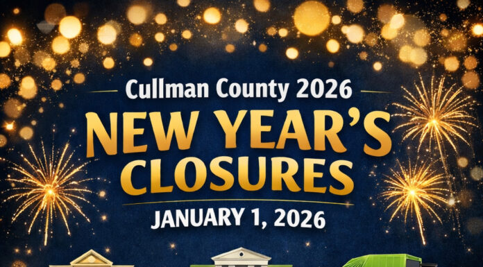 New Year’s Day closures, sanitation delays