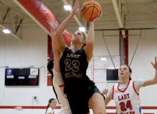 PREP BASKETBALL: Priceville’s Langlois drops 31 as Vinemont goes down 62-45