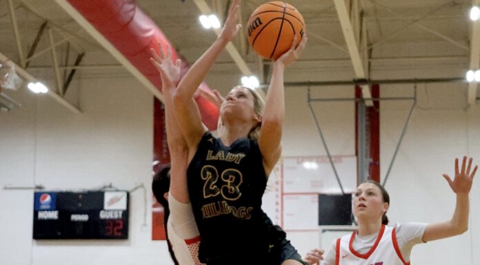 PREP BASKETBALL: Priceville’s Langlois drops 31 as Vinemont goes down 62-45