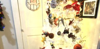 Keep pets safe around holiday decorations and foods