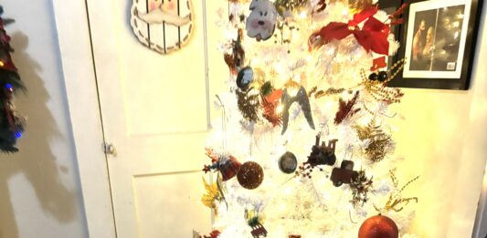 Keep pets safe around holiday decorations and foods