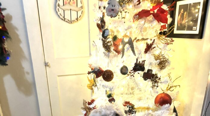 Keep pets safe around holiday decorations and foods