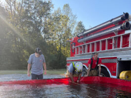 Local heroes: ‘It’s not an obligation; it’s love’