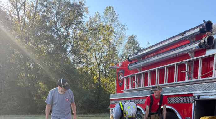 Local heroes: ‘It’s not an obligation; it’s love’