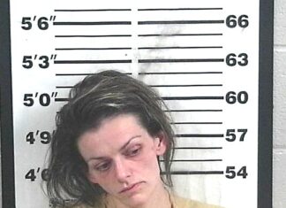 Bremen woman charged with trafficking fentanyl Kayla N. Graham (Cullman Police Department)