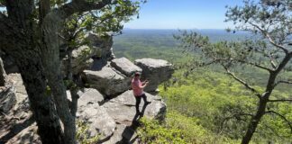 First Day Hikes at Alabama State Parks offer chance to see sunrise, sunset, everything in between The First Day Hike Sunset Hike at Cheaha State Park follows the Pulpit Rock Trail, which offers panoramic views of the Talladega National Forest. (Photo by Josh Bean | Alabama State Parks)