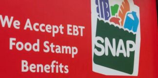 Alabama DHR launches chipped EBT cards for SNAP and TANF benefits