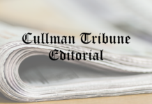 EDITORIAL: The cost of chaos, blogs, livestreams and the erosion of local news