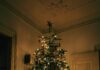 Holiday safety at home: Protecting your family, tree and traditions Live Christmas trees remain a seasonal favorite, but they require consistent care. (unsplash)