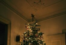 Holiday safety at home: Protecting your family, tree and traditions Live Christmas trees remain a seasonal favorite, but they require consistent care. (unsplash)