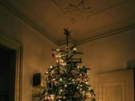 Holiday safety at home: Protecting your family, tree and traditions Live Christmas trees remain a seasonal favorite, but they require consistent care. (unsplash)