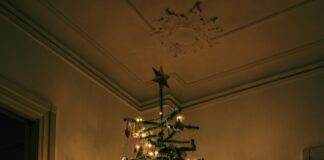 Holiday safety at home: Protecting your family, tree and traditions Live Christmas trees remain a seasonal favorite, but they require consistent care. (unsplash)