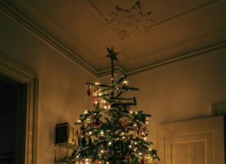 Holiday safety at home: Protecting your family, tree and traditions Live Christmas trees remain a seasonal favorite, but they require consistent care. (unsplash)