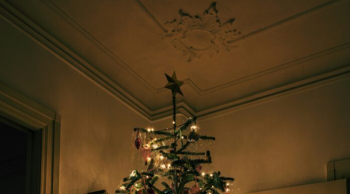 Holiday safety at home: Protecting your family, tree and traditions Live Christmas trees remain a seasonal favorite, but they require consistent care. (unsplash)