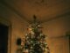Holiday safety at home: Protecting your family, tree and traditions Live Christmas trees remain a seasonal favorite, but they require consistent care. (unsplash)