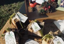 Buy local this holiday season: RedBird Farm