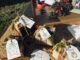 Buy local this holiday season: RedBird Farm