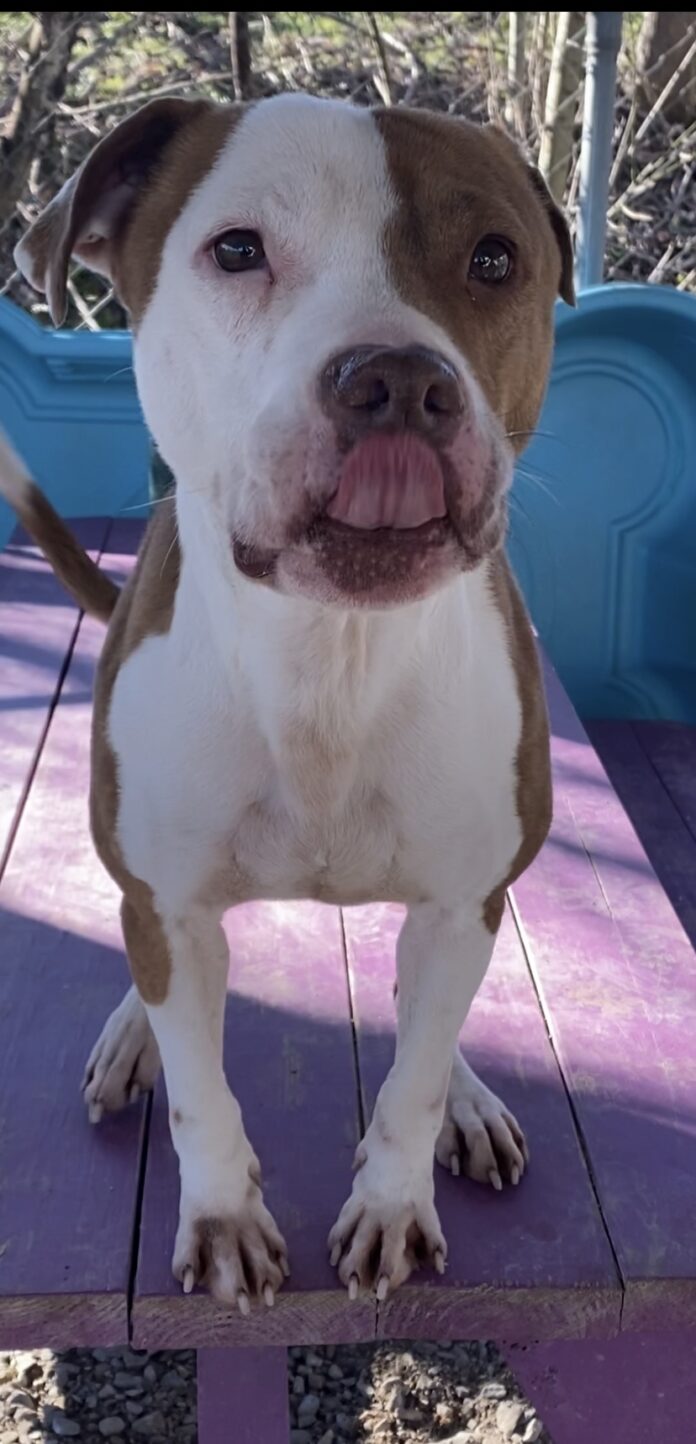 0EE4B2C0-2970-4B71-9B4A-CBFF02126899