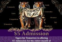 Tigers For Tomorrow launches “Goodwill to All” $5 Admission Promotion for January