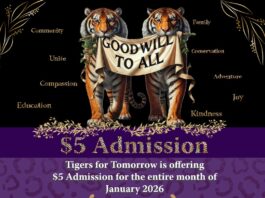Tigers For Tomorrow launches “Goodwill to All” $5 Admission Promotion for January