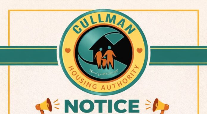 CHA: Public housing waitlist pre-applications available