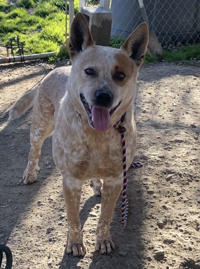 B24E1319-C6AF-452D-9A06-C77DF8BCA451