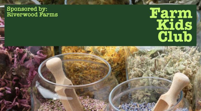 Farm Kids Club offers hands-on herbal remedies class for kids – Jan. 10