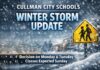 Cullman City Schools monitoring winter storm; decision on Monday and Tuesday classes expected Sunday