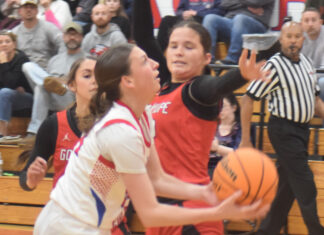 PREP BASKETBALL: Miller’s late basket puts Vinemont over Good Hope, 61-59