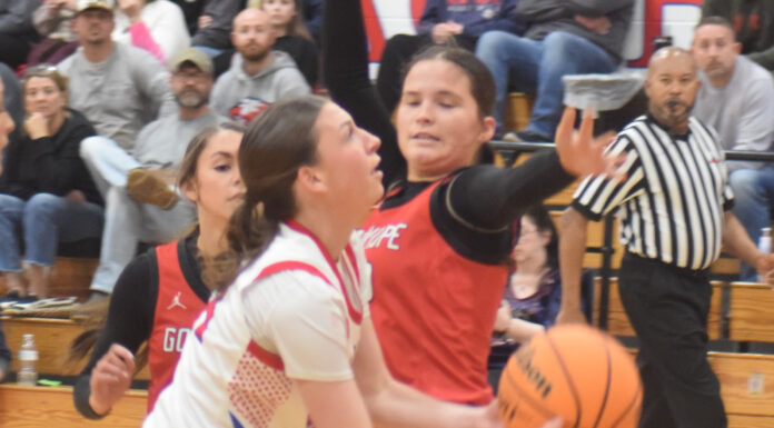 PREP BASKETBALL: Miller’s late basket puts Vinemont over Good Hope, 61-59