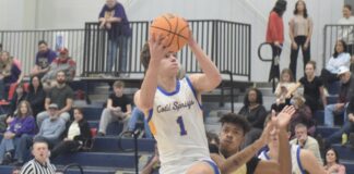 PREP BASKETBALL: Lady Eagles, Eagles pick up wins over Hanceville