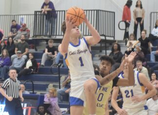 PREP BASKETBALL: Lady Eagles, Eagles pick up wins over Hanceville