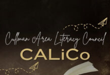 Notes from latest CALiCo meeting