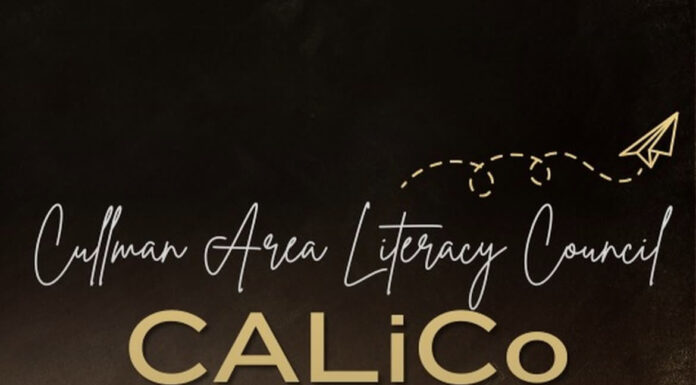 Notes from latest CALiCo meeting