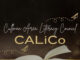 Notes from latest CALiCo meeting