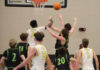 PREP BASKETBALL: Jasper’s block party leads Vikings to a 43-40 win over Cullman