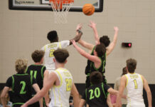 PREP BASKETBALL: Jasper’s block party leads Vikings to a 43-40 win over Cullman