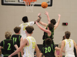 PREP BASKETBALL: Jasper’s block party leads Vikings to a 43-40 win over Cullman