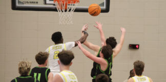 PREP BASKETBALL: Jasper’s block party leads Vikings to a 43-40 win over Cullman