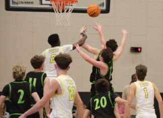 PREP BASKETBALL: Jasper’s block party leads Vikings to a 43-40 win over Cullman