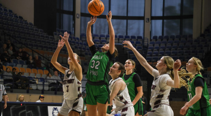 COUNTY TOURNAMENT: Mayfield shines as No. 5 seed Holly Pond JV girls upset No. 4 seed West Point 32-27 in round one