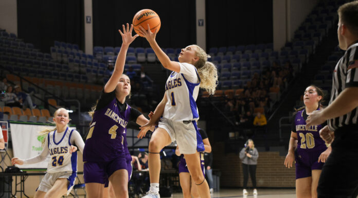 COUNTY TOURNAMENT: Ellis’ 35-point gem drives no. 2 seed Cold Springs JV girls past no. 7 seed Hanceville 78-24