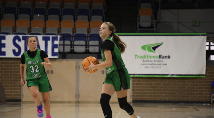 COUNTY TOURNAMENT: Physical no. 5 seed Holly Pond knocks off no. 1 Fairview 39-29 to advance to JV Girls championship