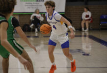 COUNTY TOURNAMENT: Balanced scoring, defense helps no. 1 Cold Springs get past no. 4 Holly Pond, 48-38, to move on to championship game