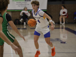 COUNTY TOURNAMENT: Balanced scoring, defense helps no. 1 Cold Springs get past no. 4 Holly Pond, 48-38, to move on to championship game