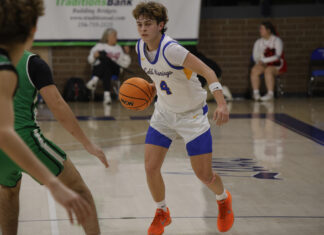COUNTY TOURNAMENT: Balanced scoring, defense helps no. 1 Cold Springs get past no. 4 Holly Pond, 48-38, to move on to championship game