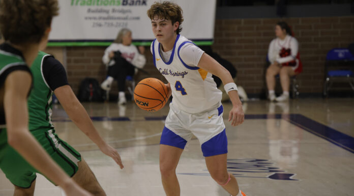 COUNTY TOURNAMENT: Balanced scoring, defense helps no. 1 Cold Springs get past no. 4 Holly Pond, 48-38, to move on to championship game