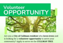 City of Cullman seeks volunteers for Tree Commission